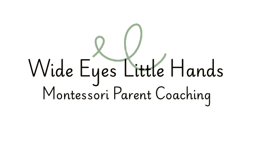 Wide Eyes Little Hands
